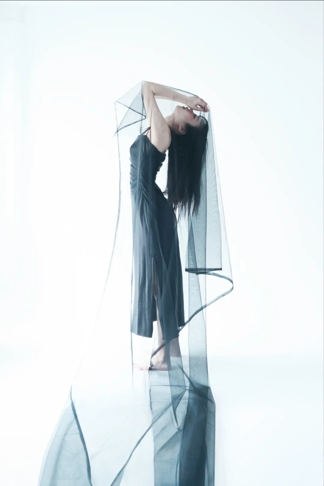이미지 8