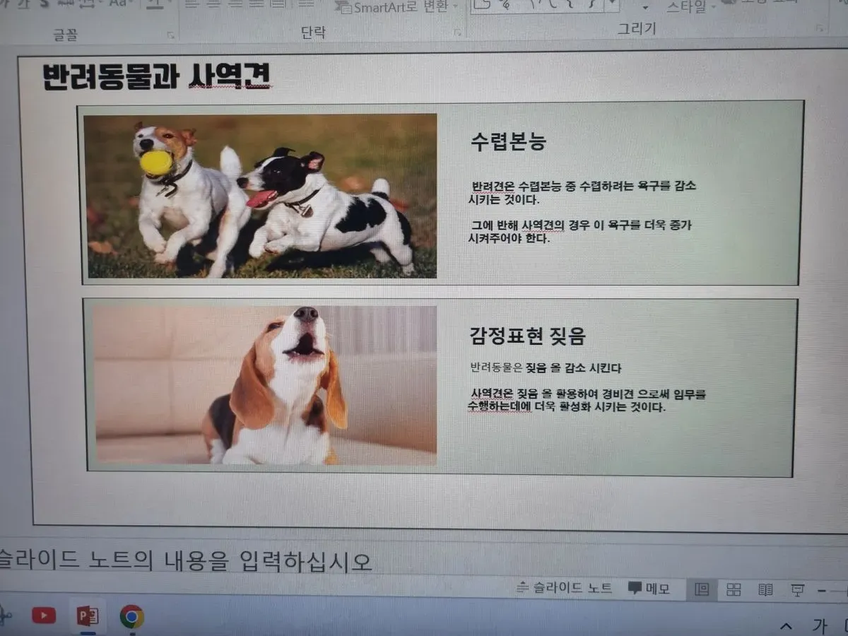 이미지 6