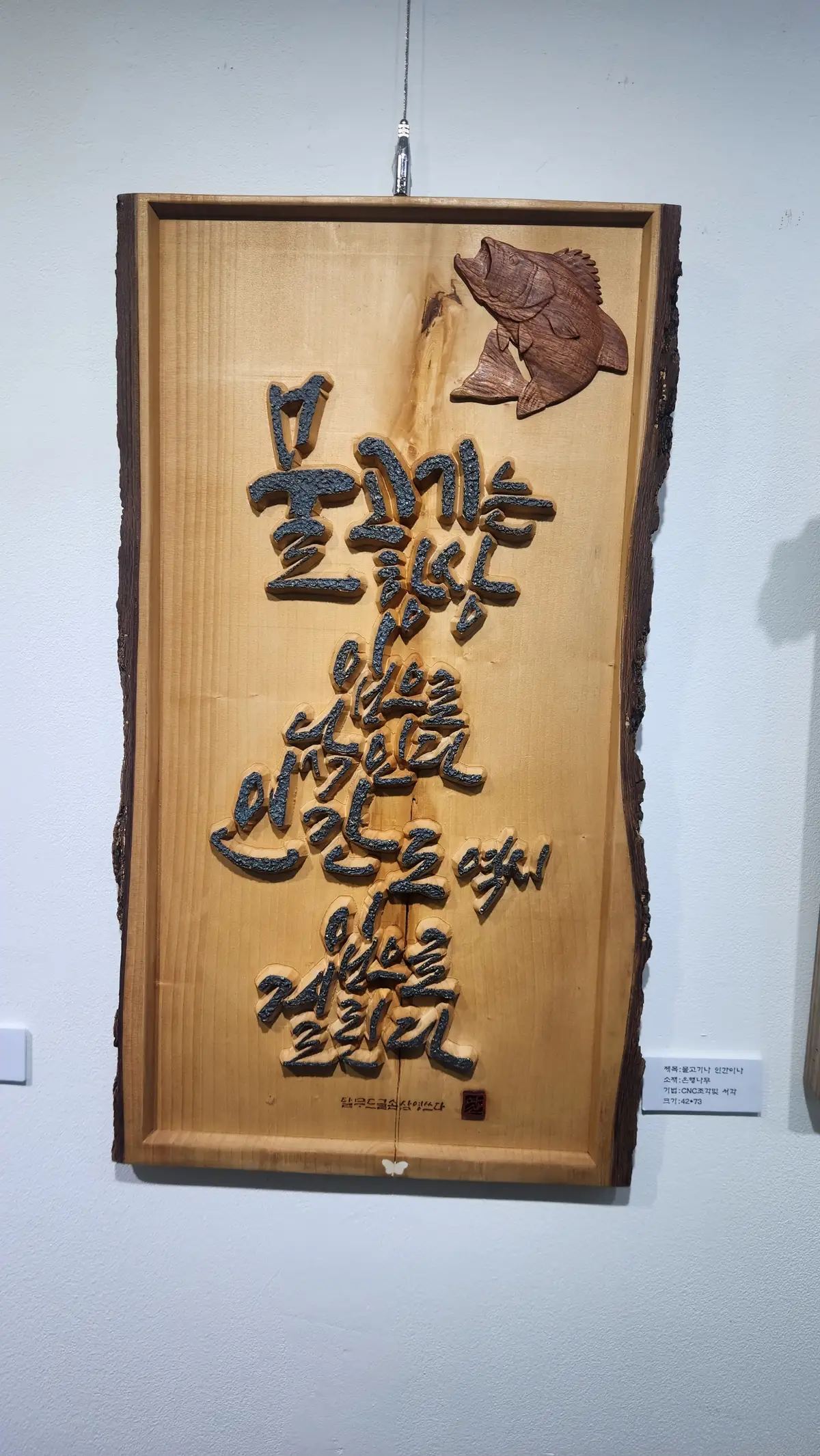 이미지 7
