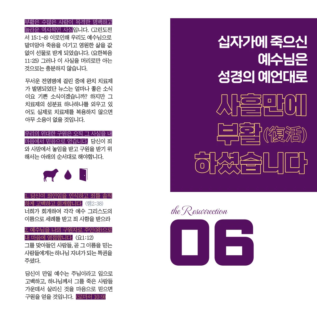 이미지 8
