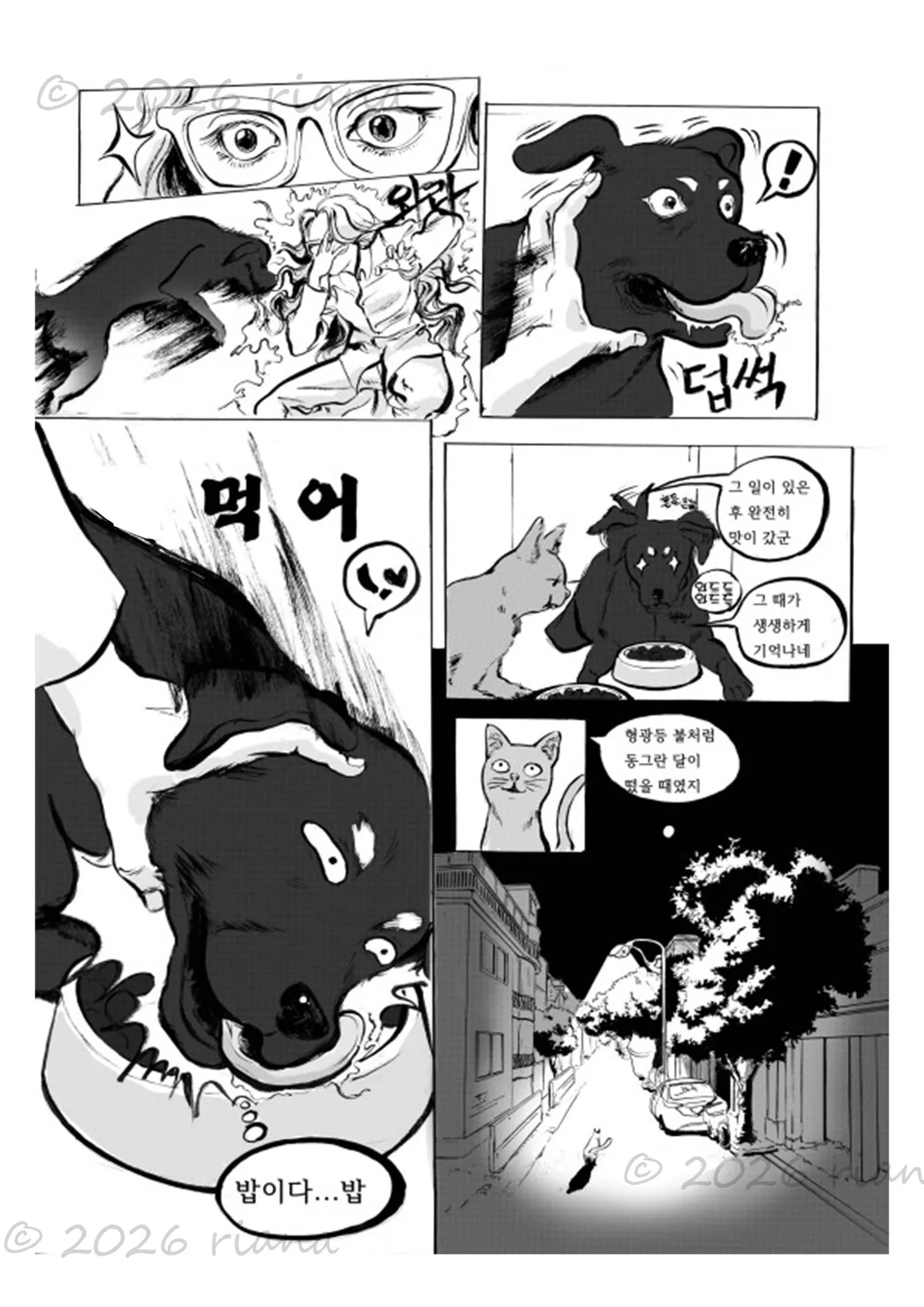 이미지 4