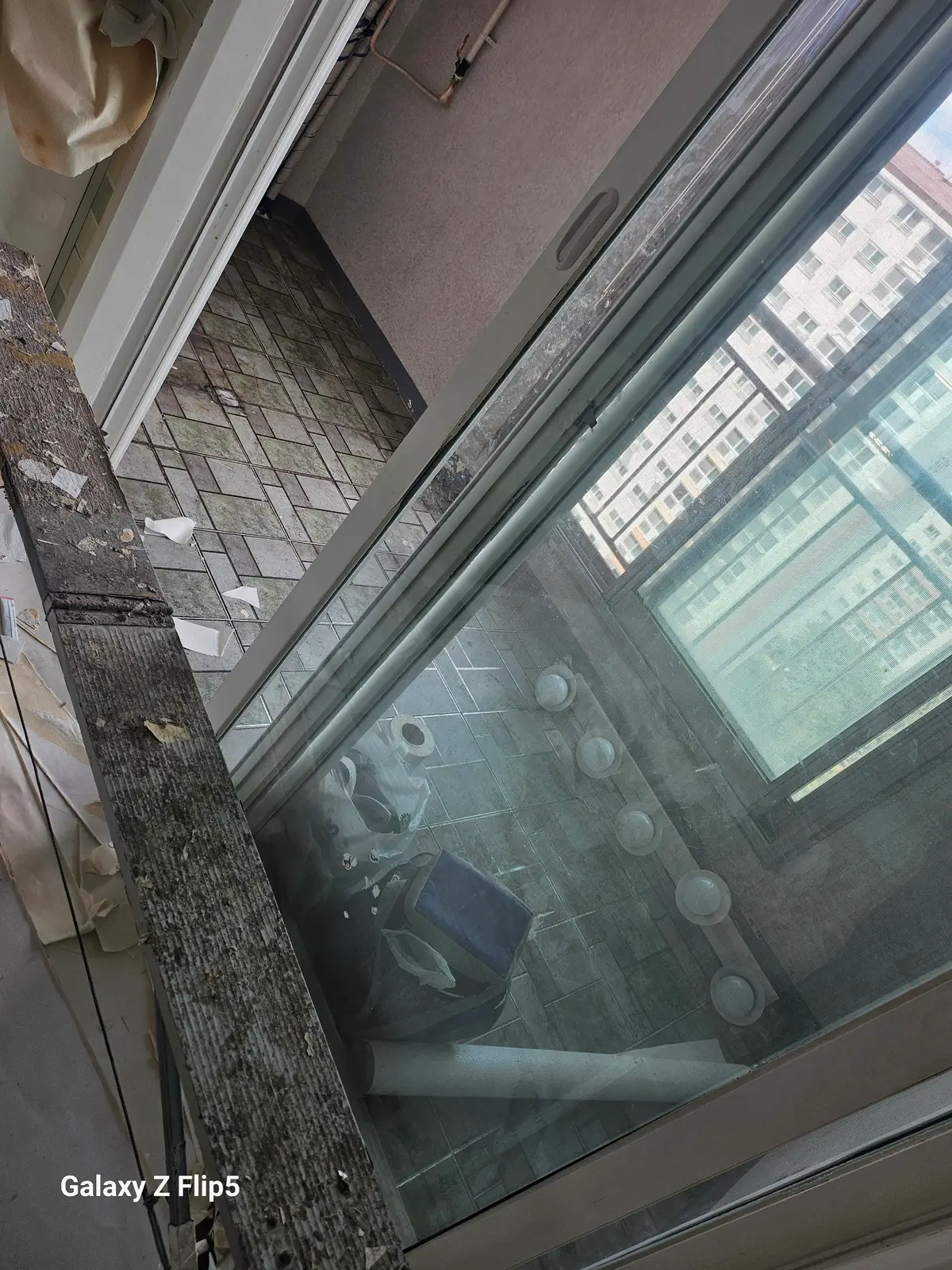 이미지 3