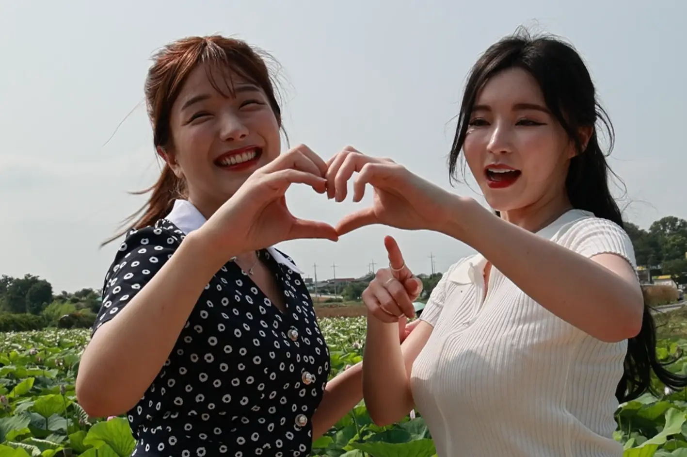 이미지 6
