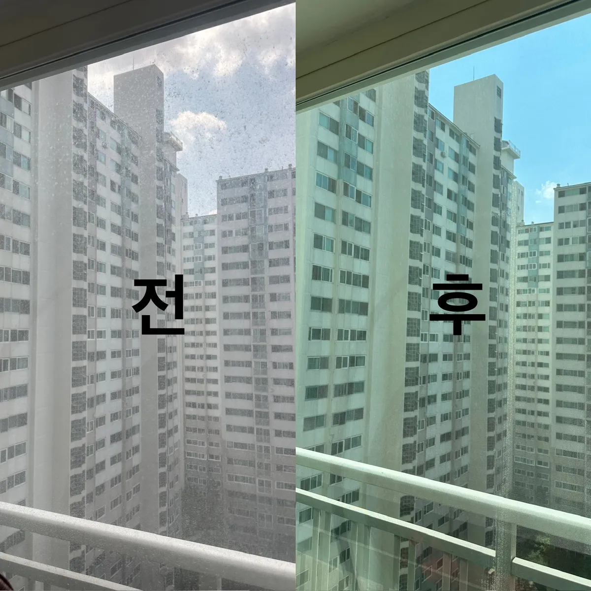 이미지 5