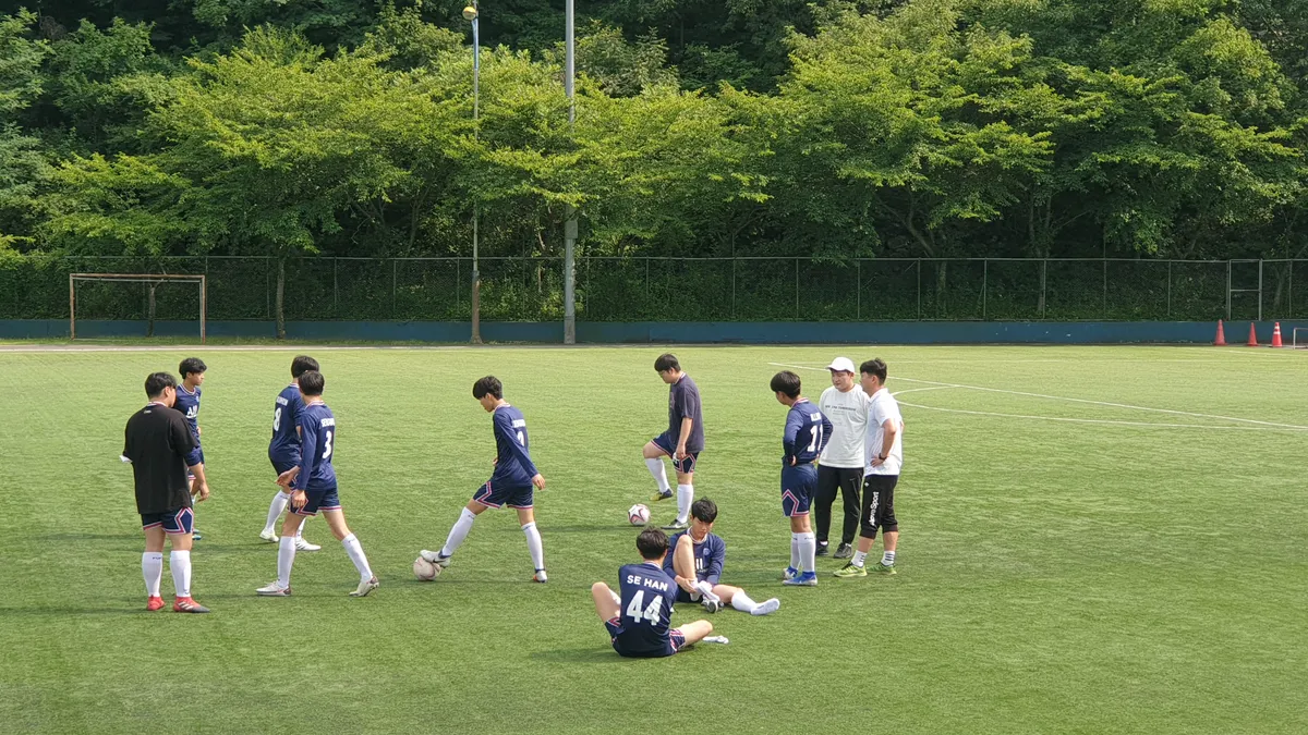 이미지 11