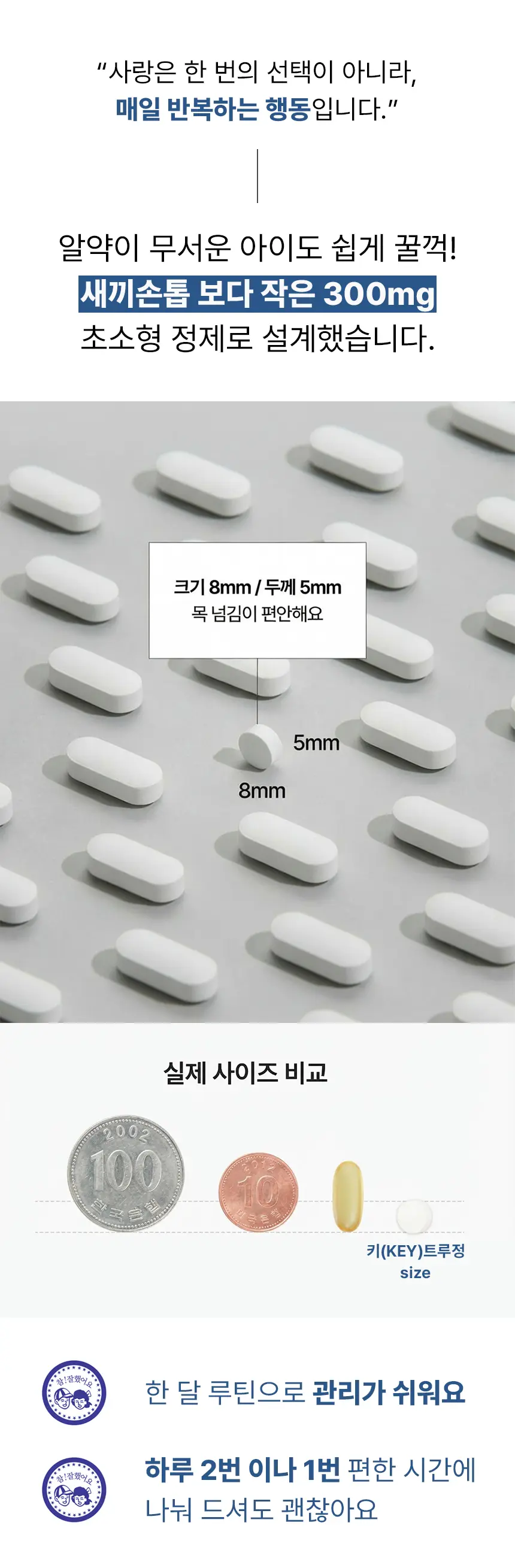 이미지 26