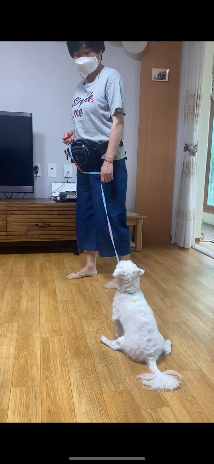 이미지 6