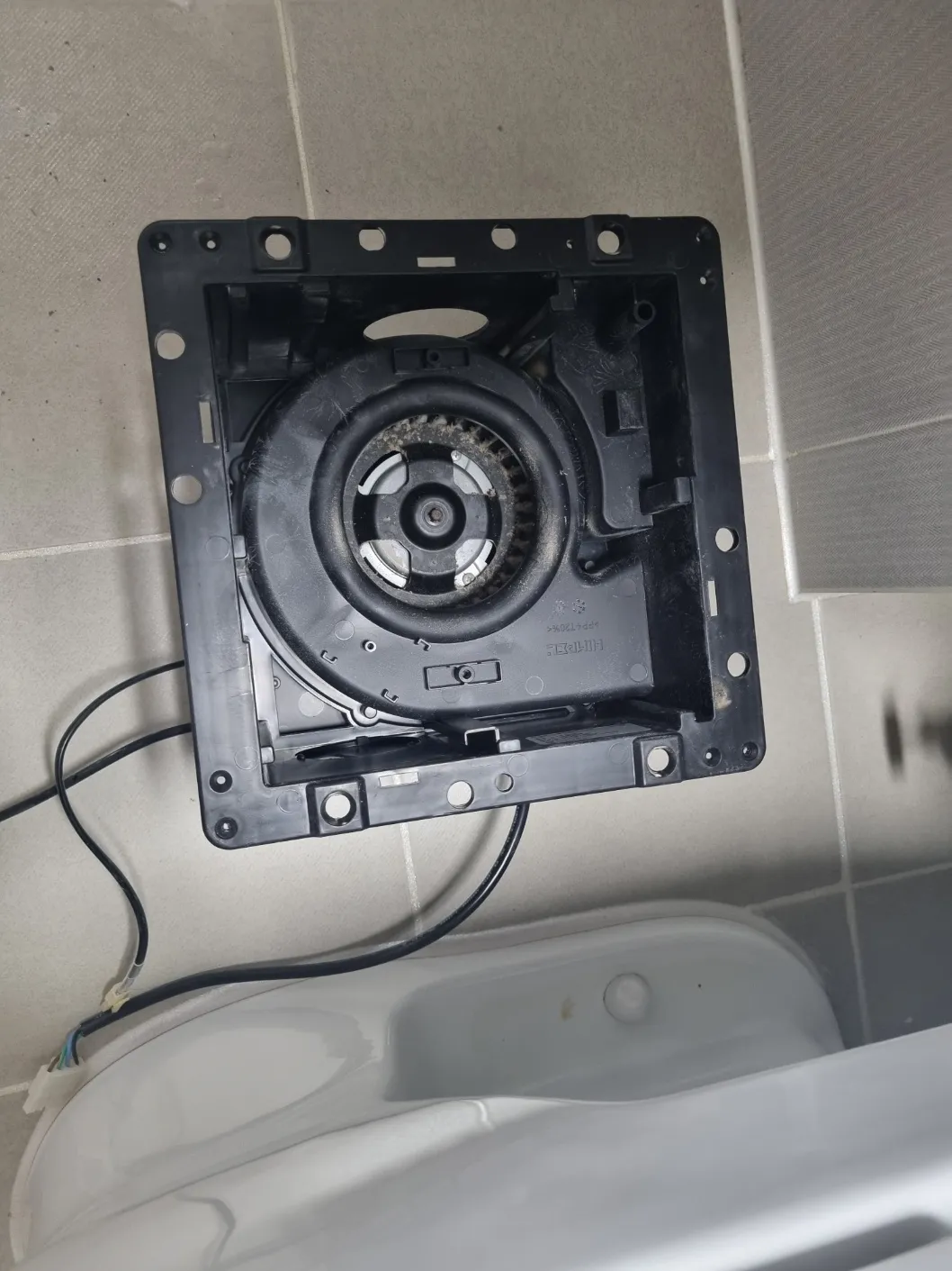 이미지 5