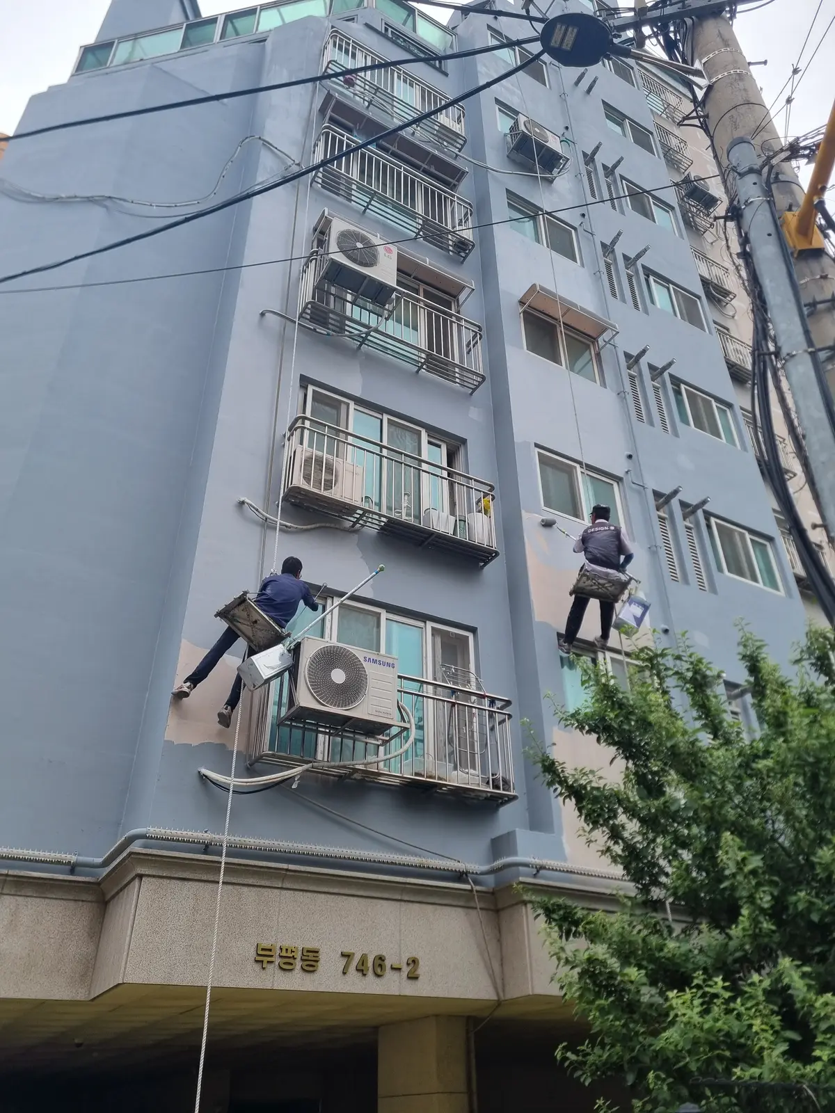 이미지 5