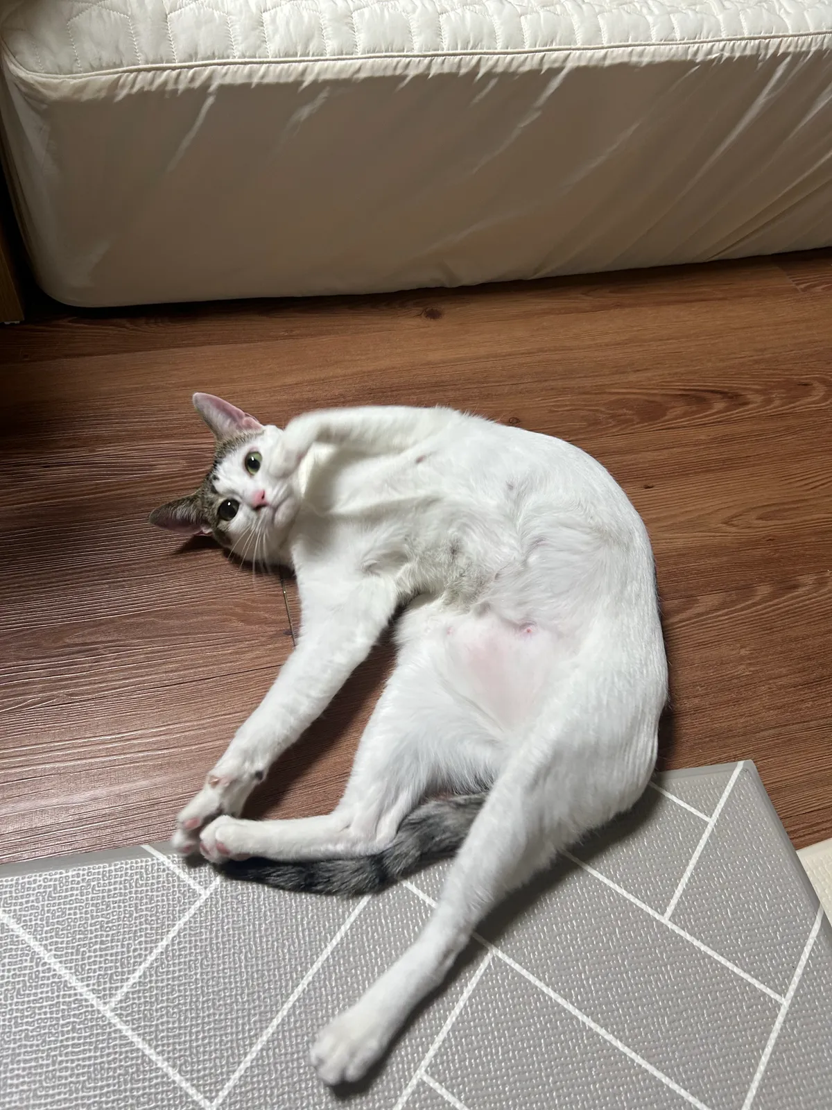 이미지 28