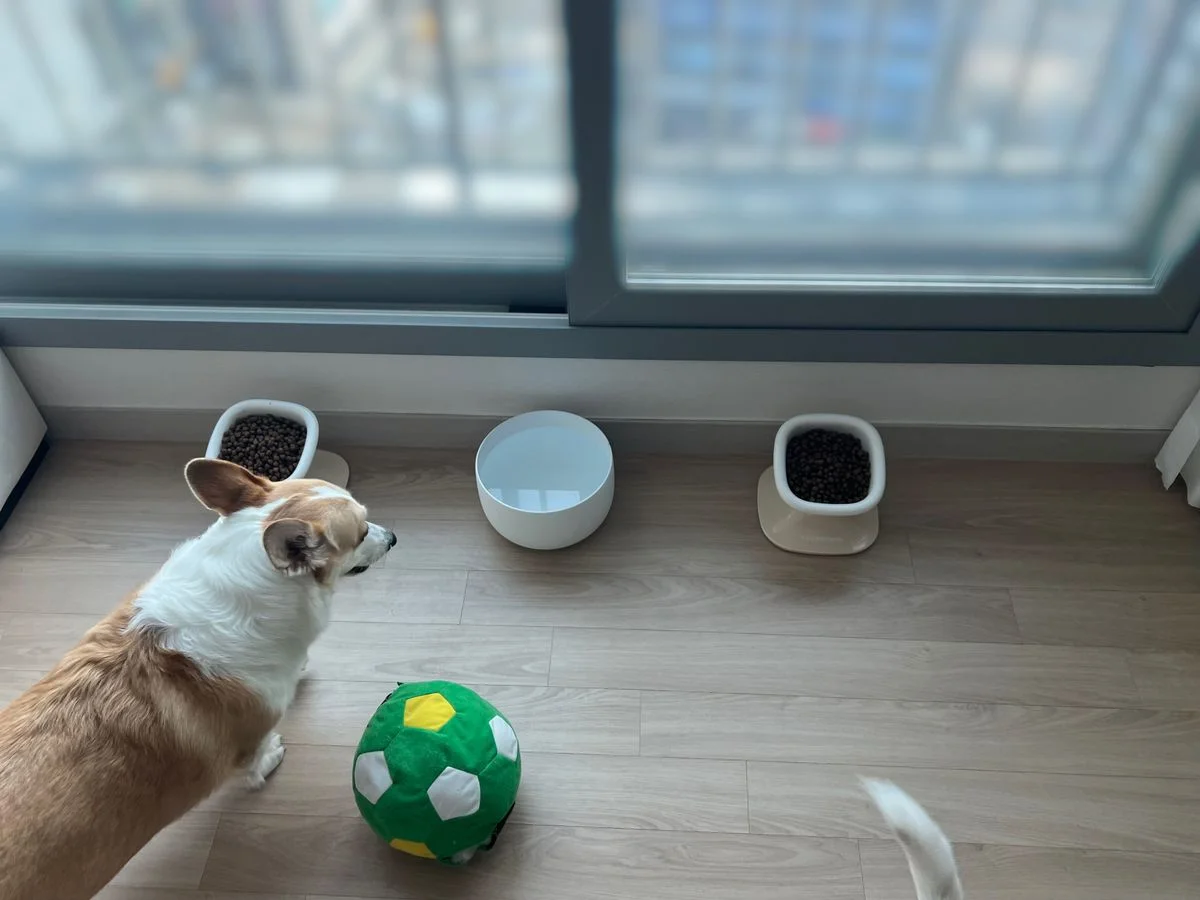 이미지 3
