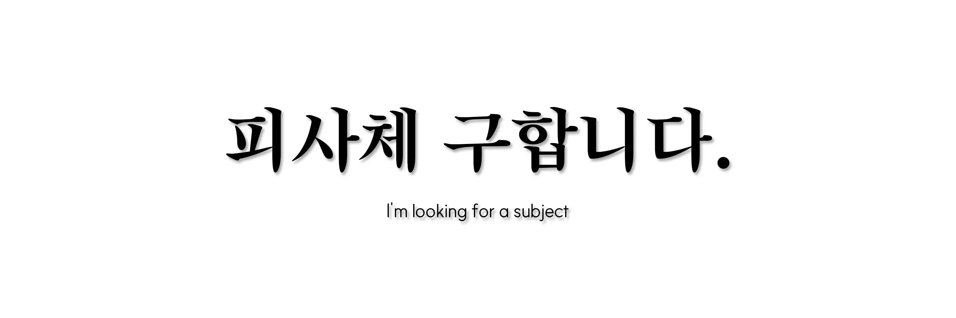 포트폴리오 이미지