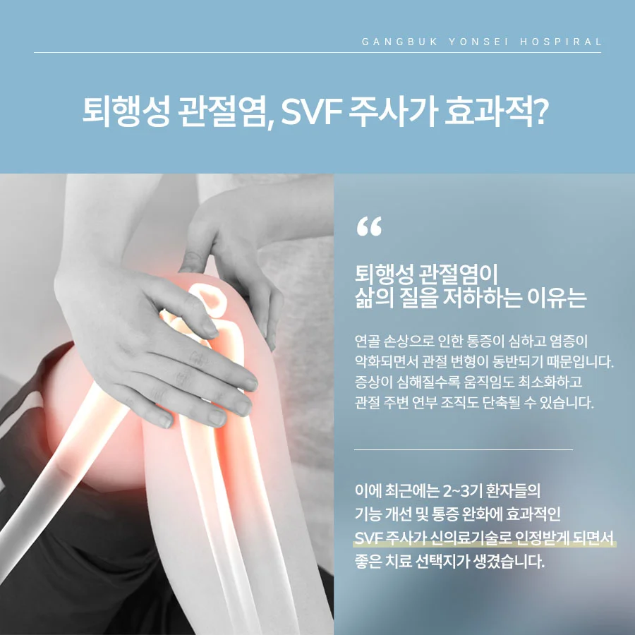 이미지 8