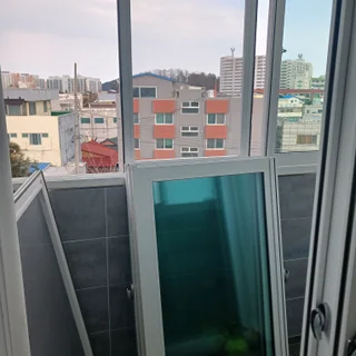 파손 없는 탈거