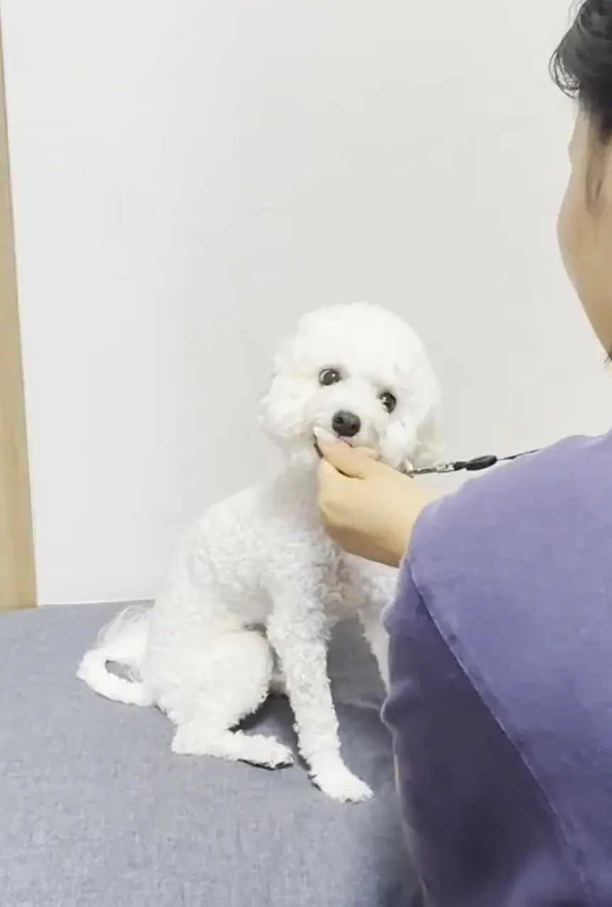 이미지 6