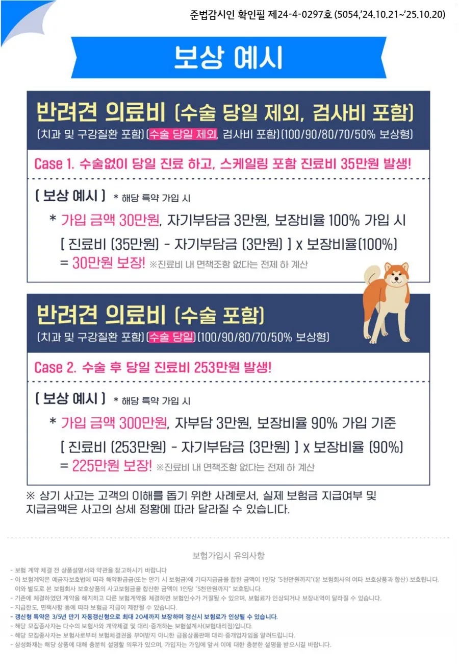 이미지 6