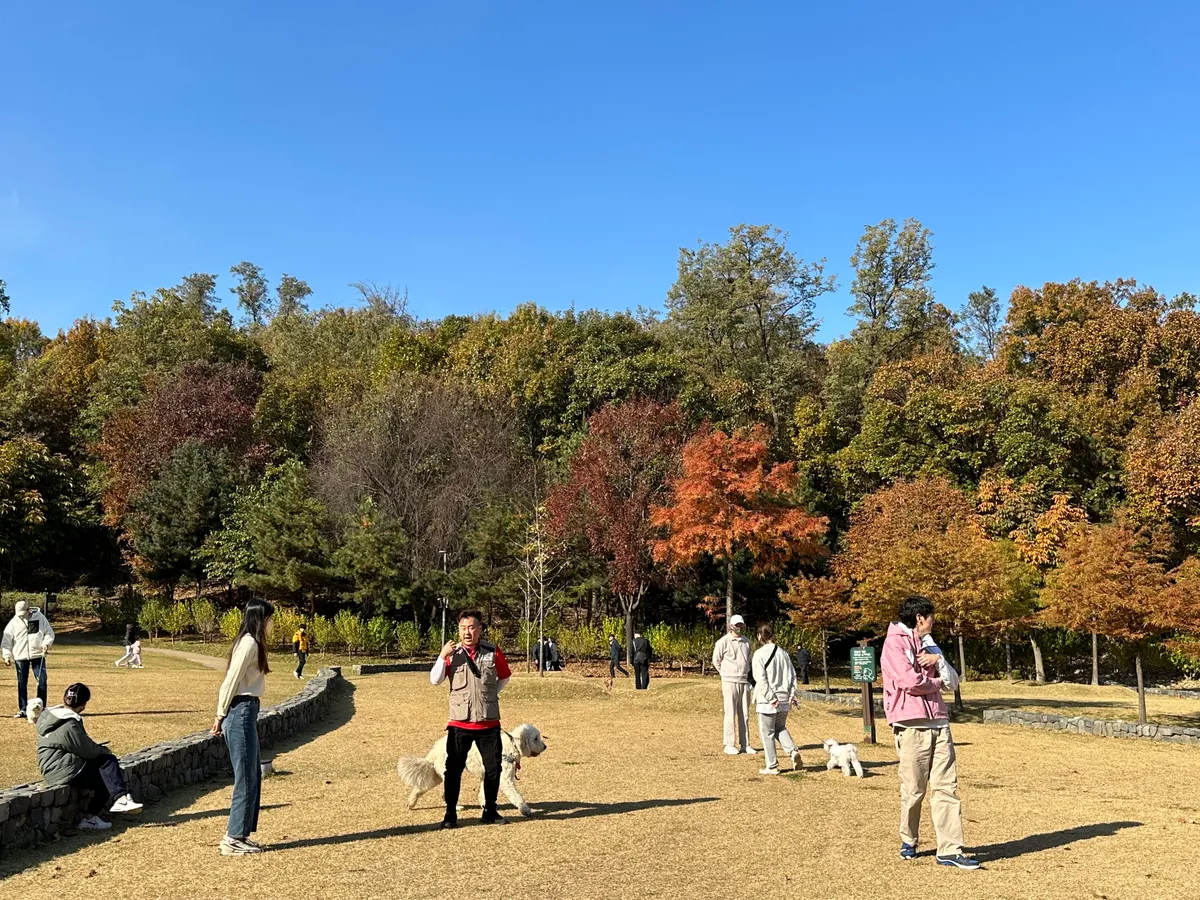 이미지 5
