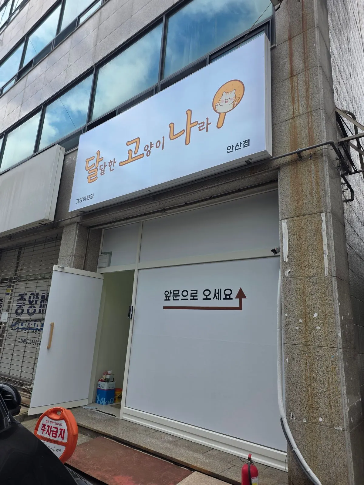 이미지 4