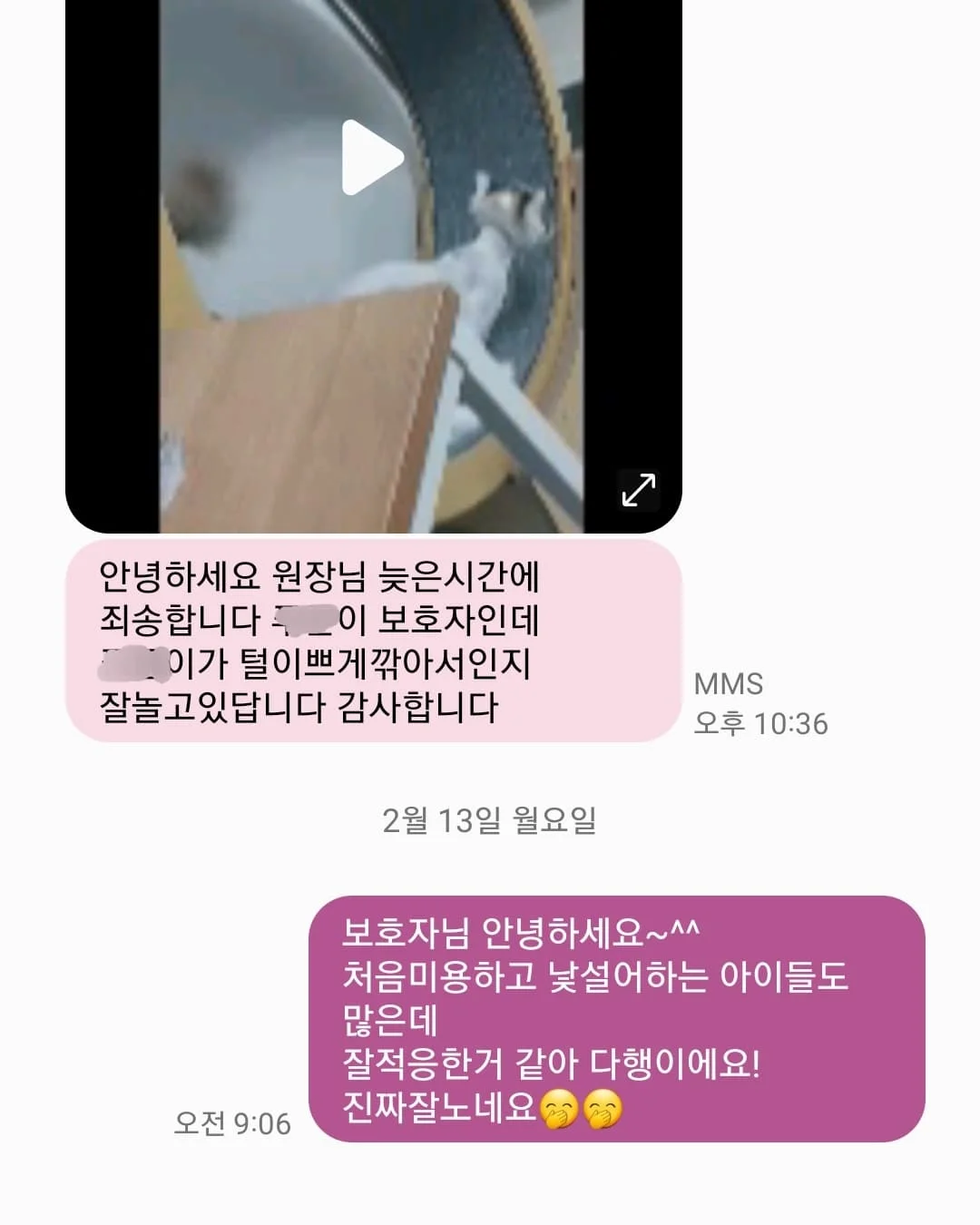 이미지 5