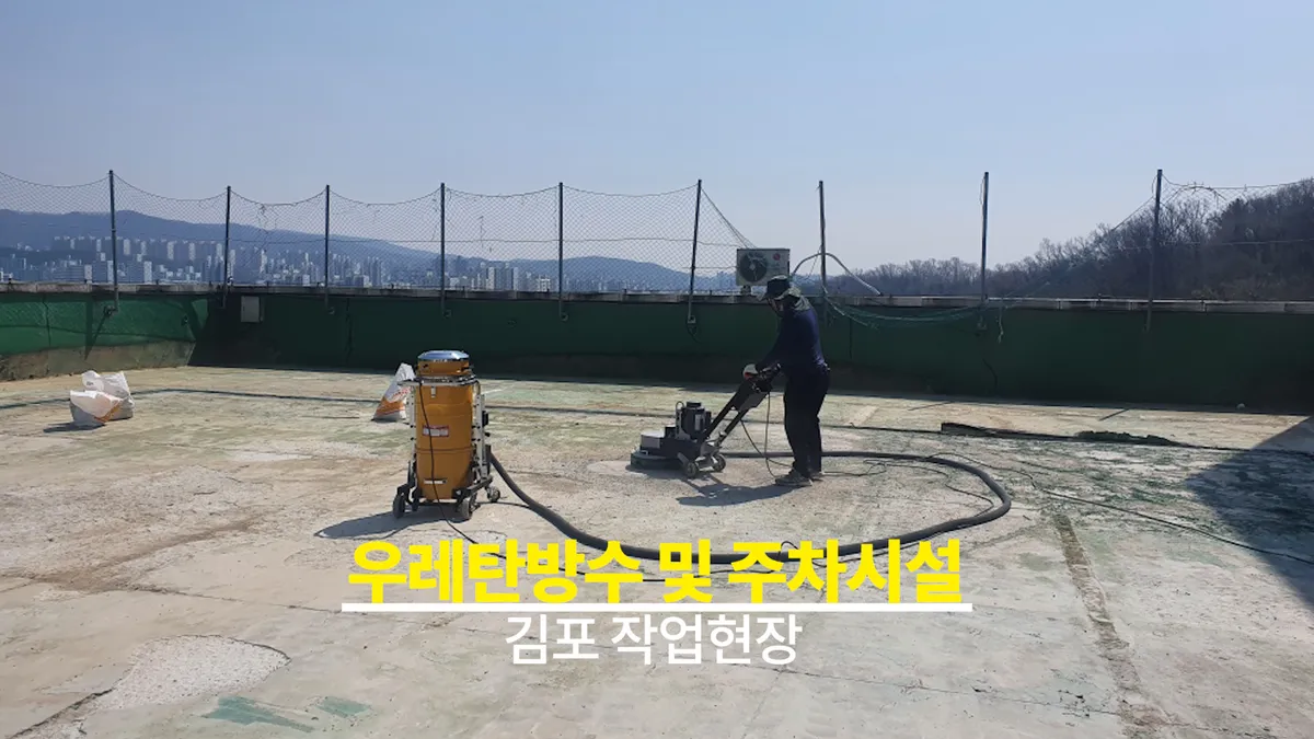 이미지 5