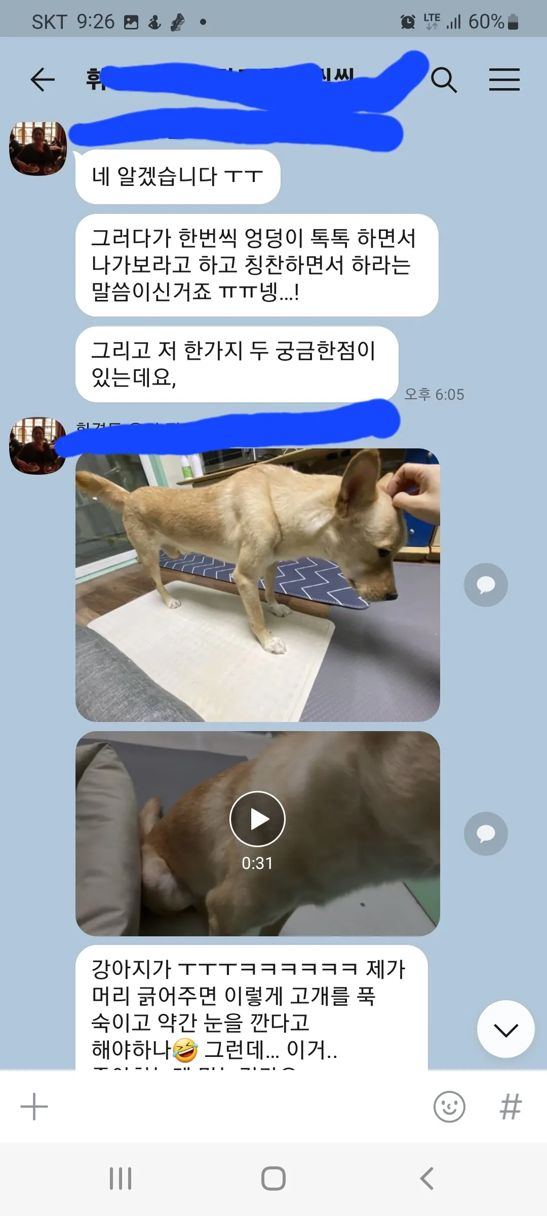 이미지 4
