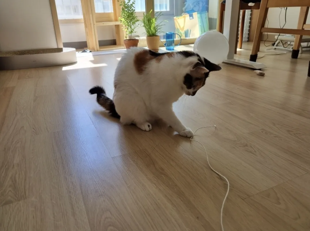 이미지 4