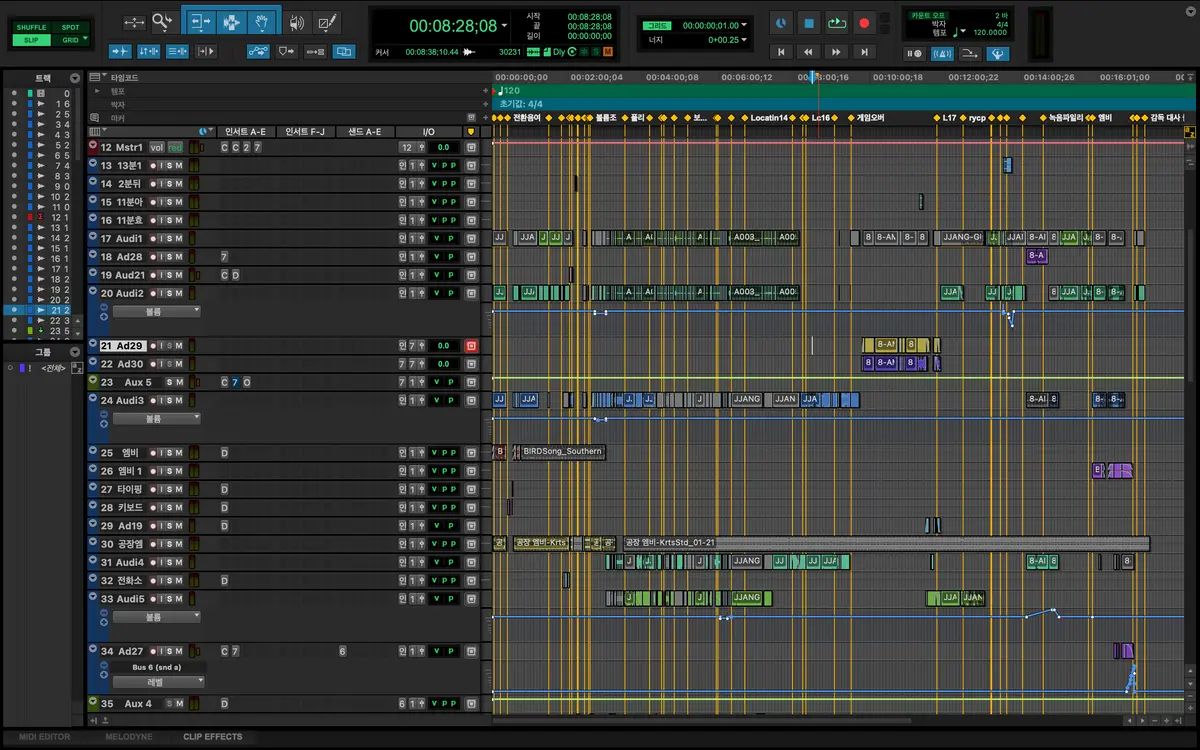 포트폴리오 이미지