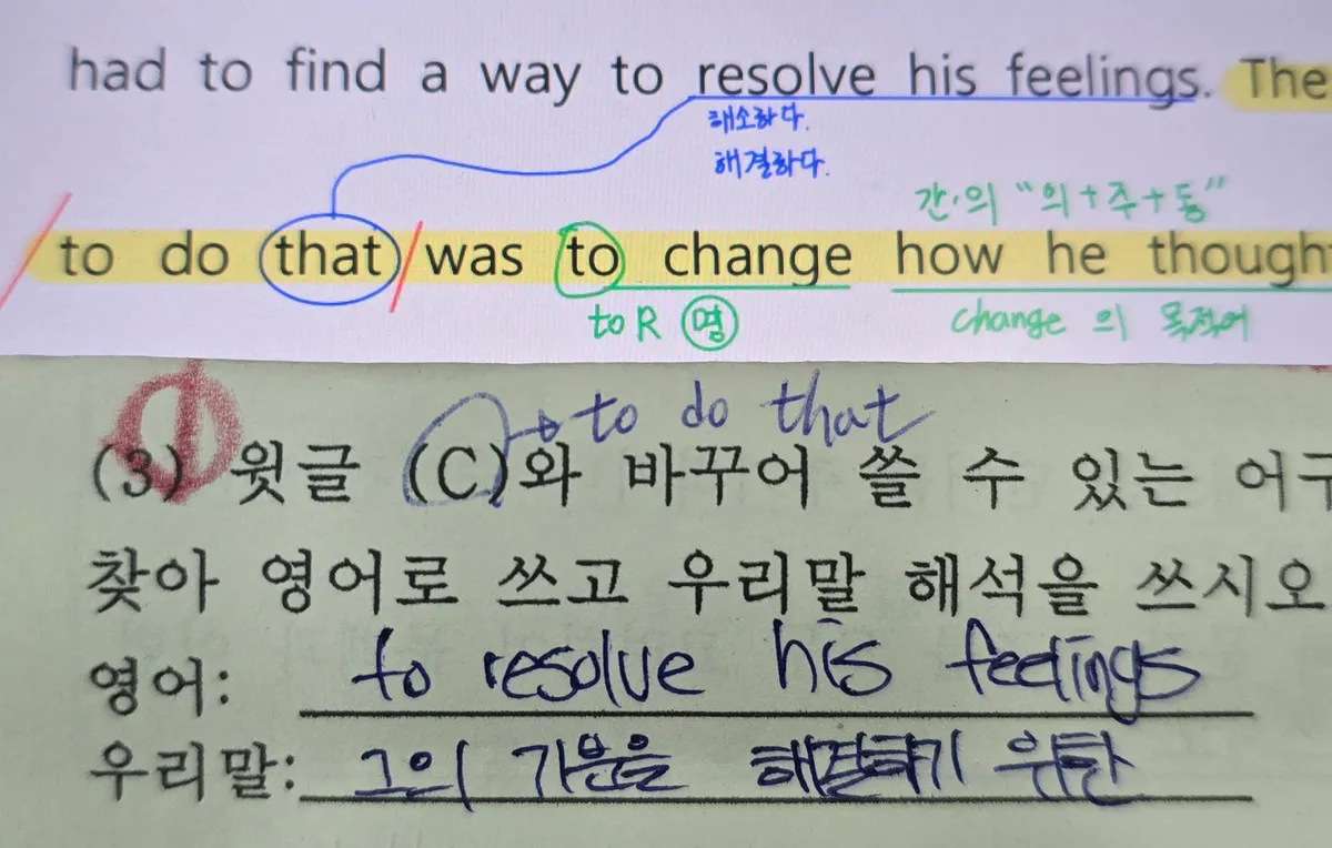 이미지 5