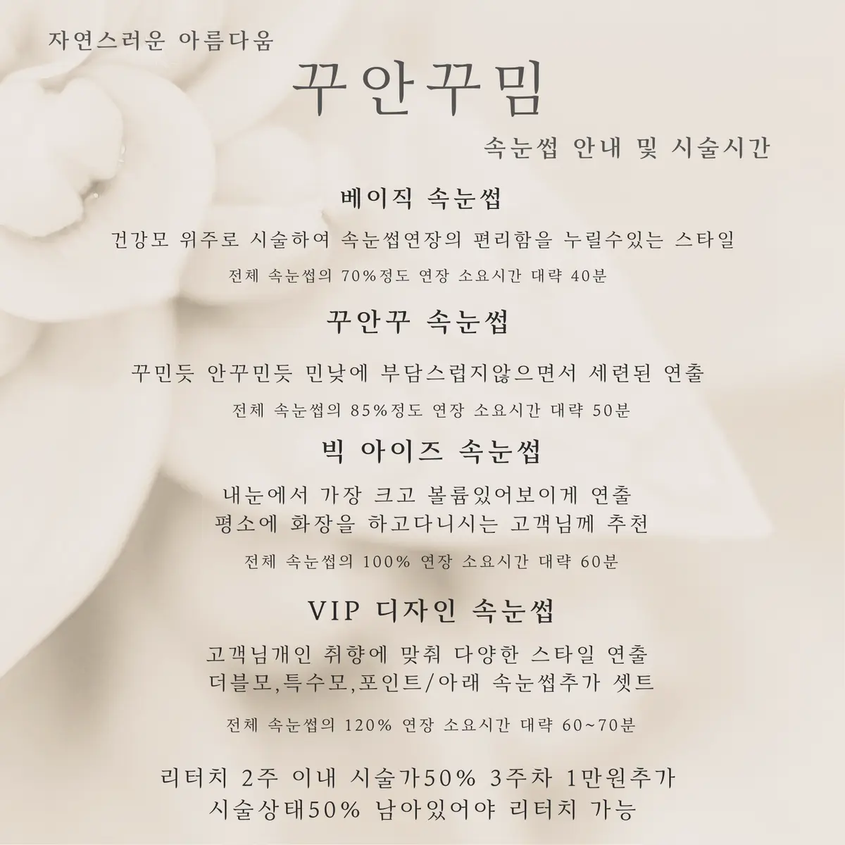 이미지 11