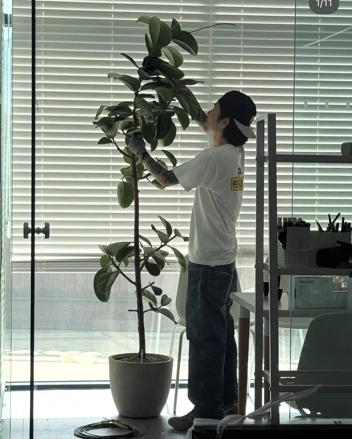 이미지 8