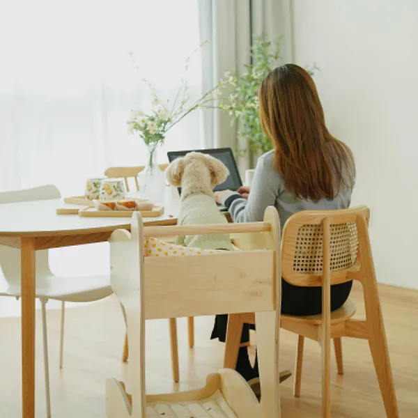 이미지 5