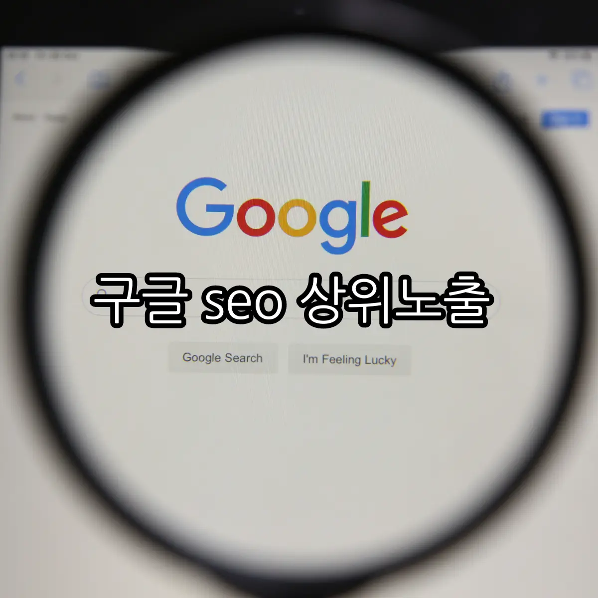 이미지 5