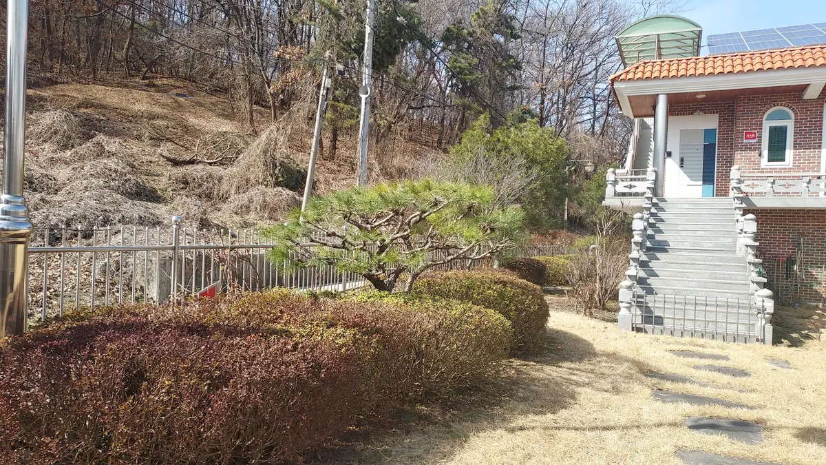 이미지 5