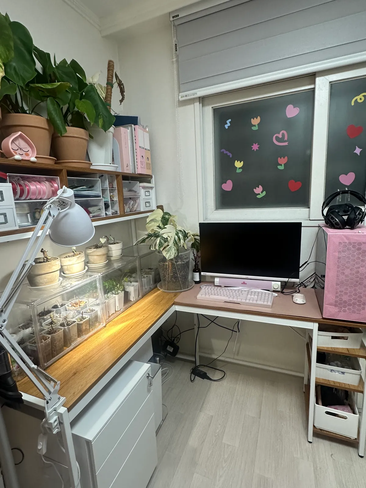 이미지 12