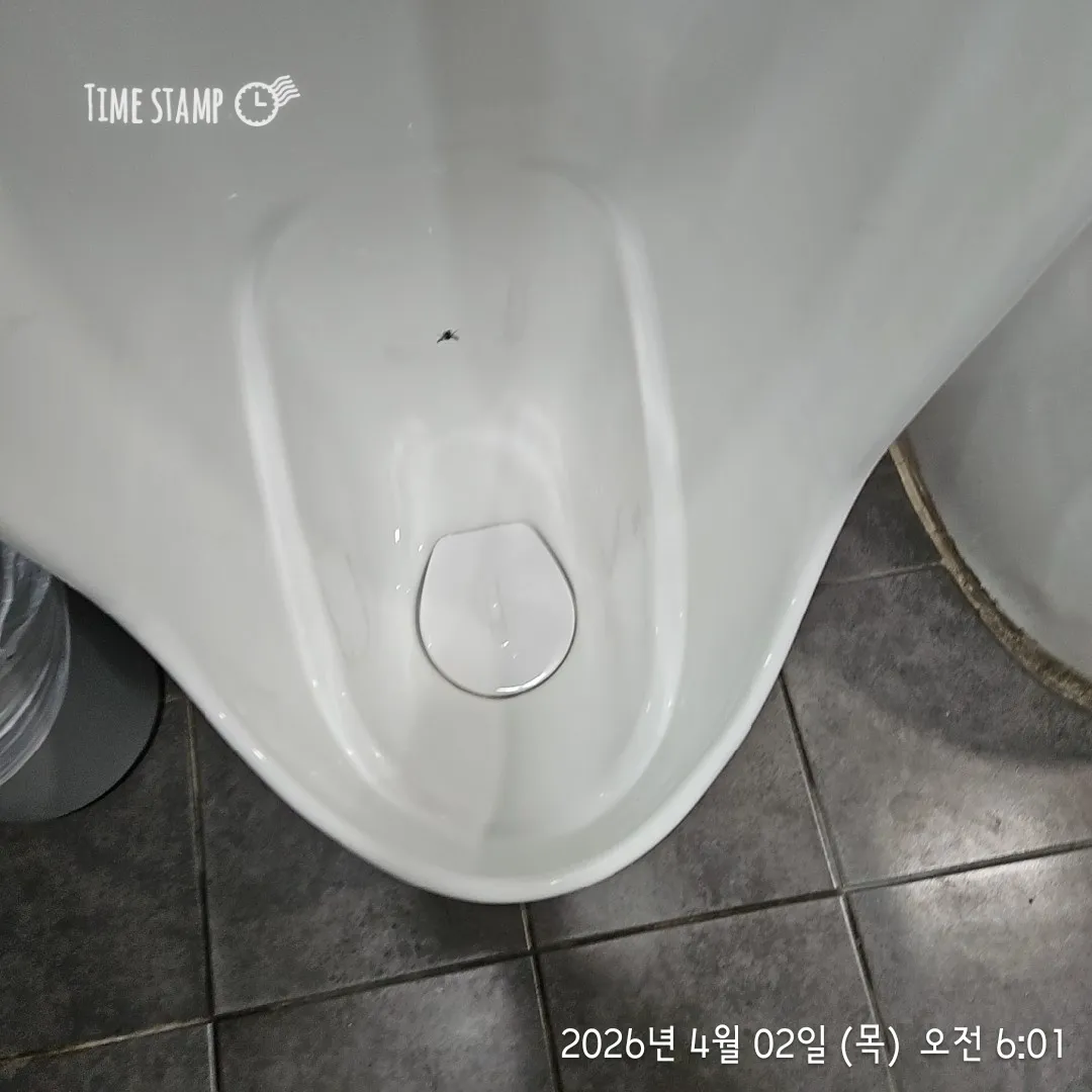 이미지 16