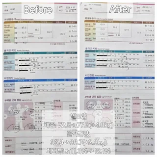 다이어트 및 식단