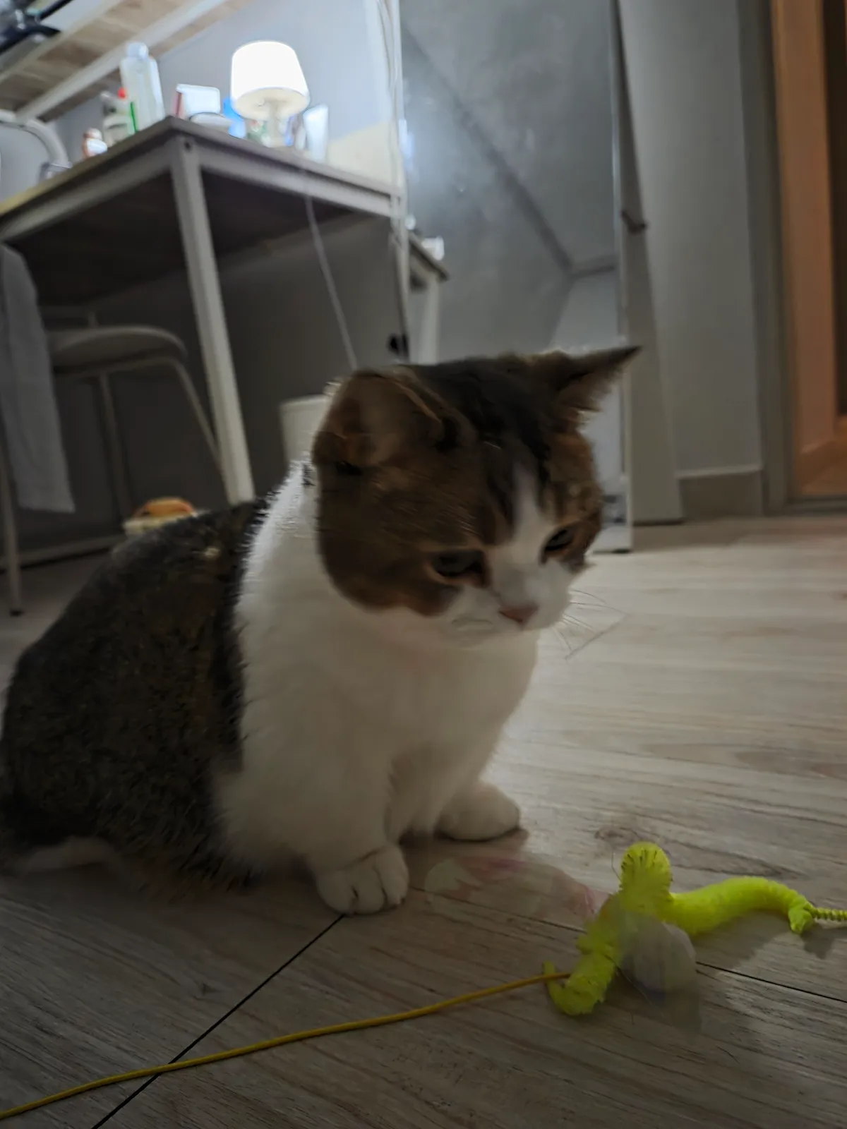 이미지 6