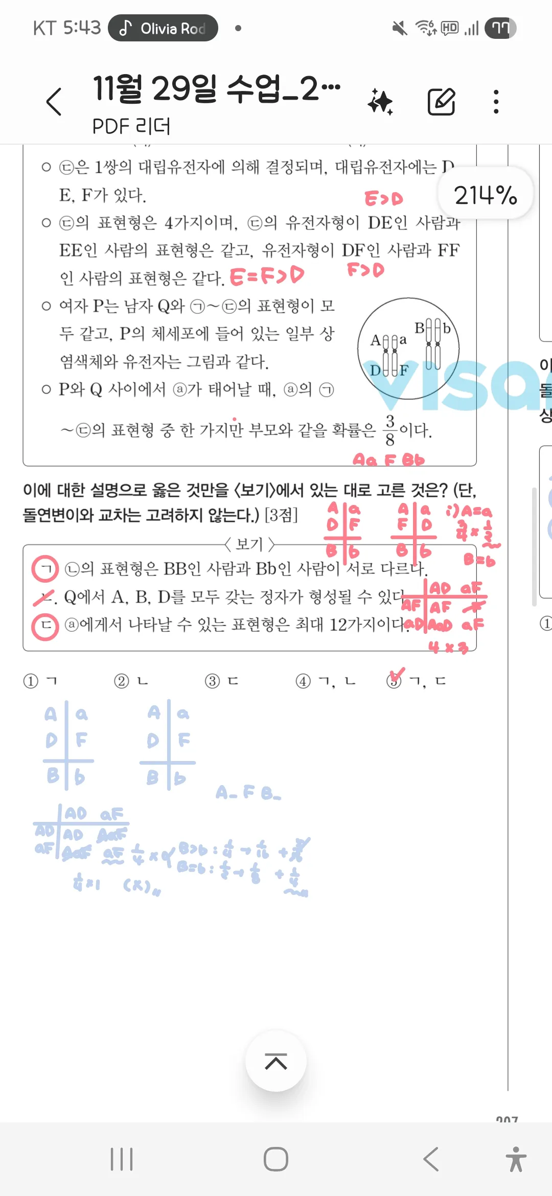 이미지 12
