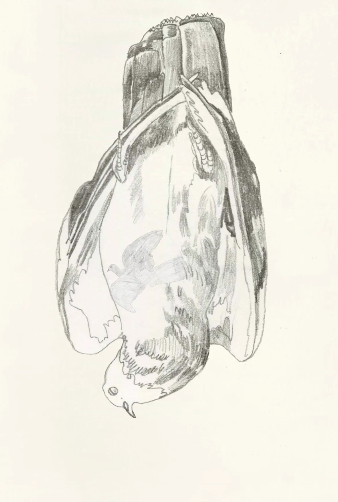 이미지 4