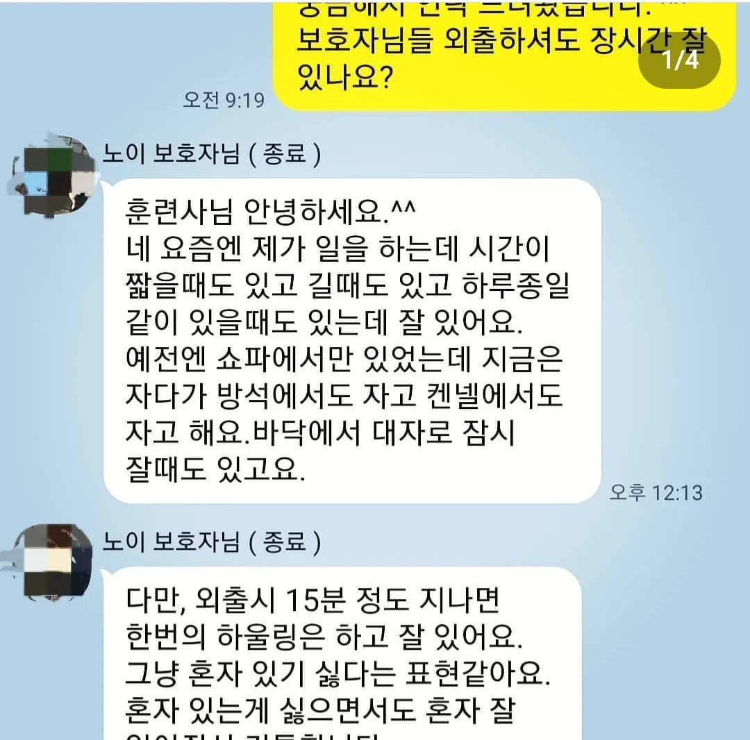 이미지 5
