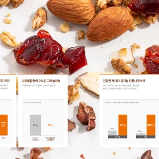 제품소개서 인쇄물 및 ppt
