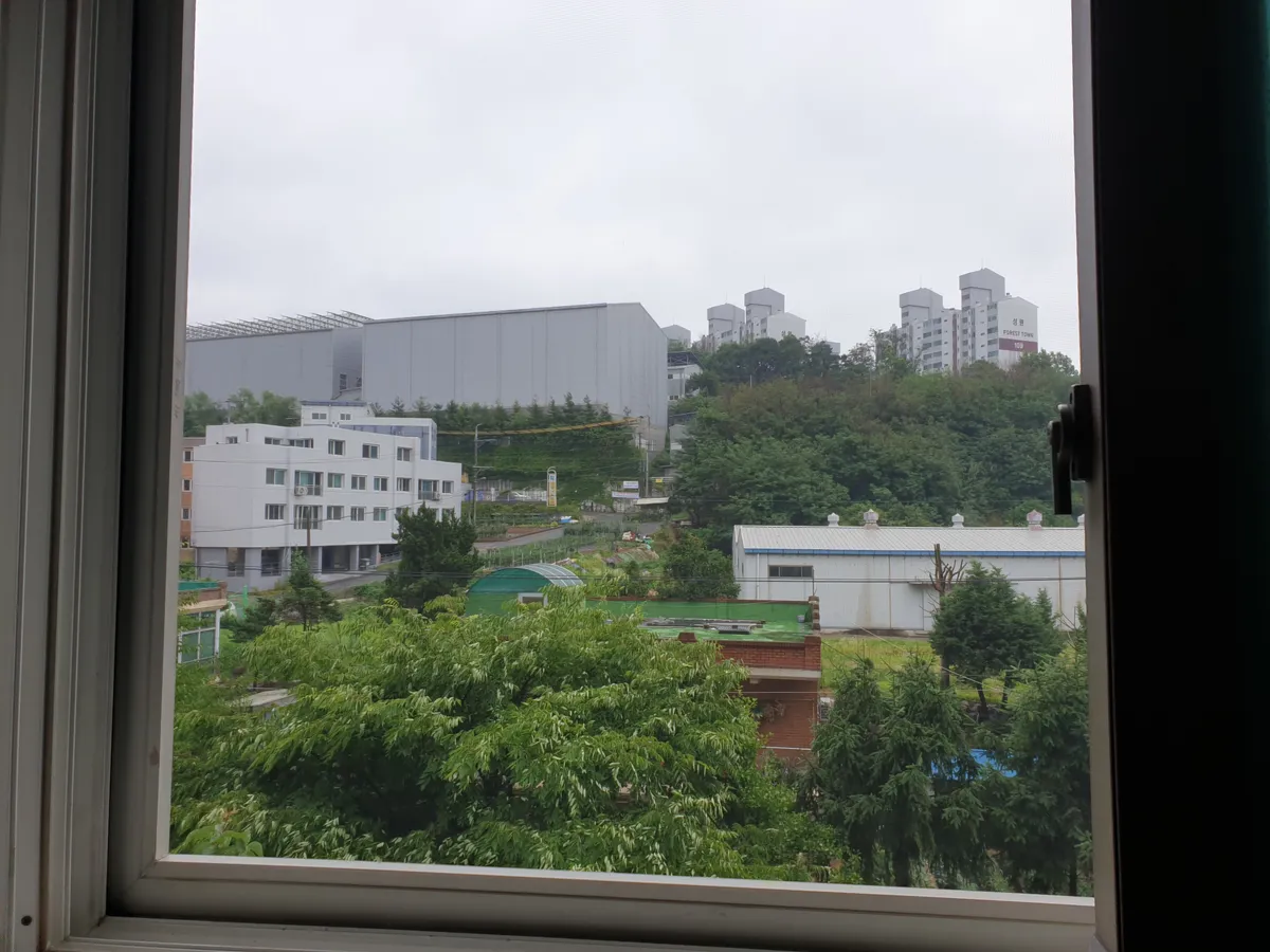 이미지 11
