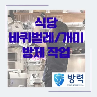전포 식당 바퀴벌레/개미 방제