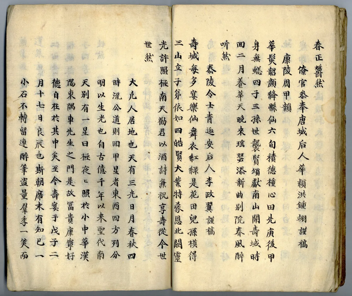 이미지 5