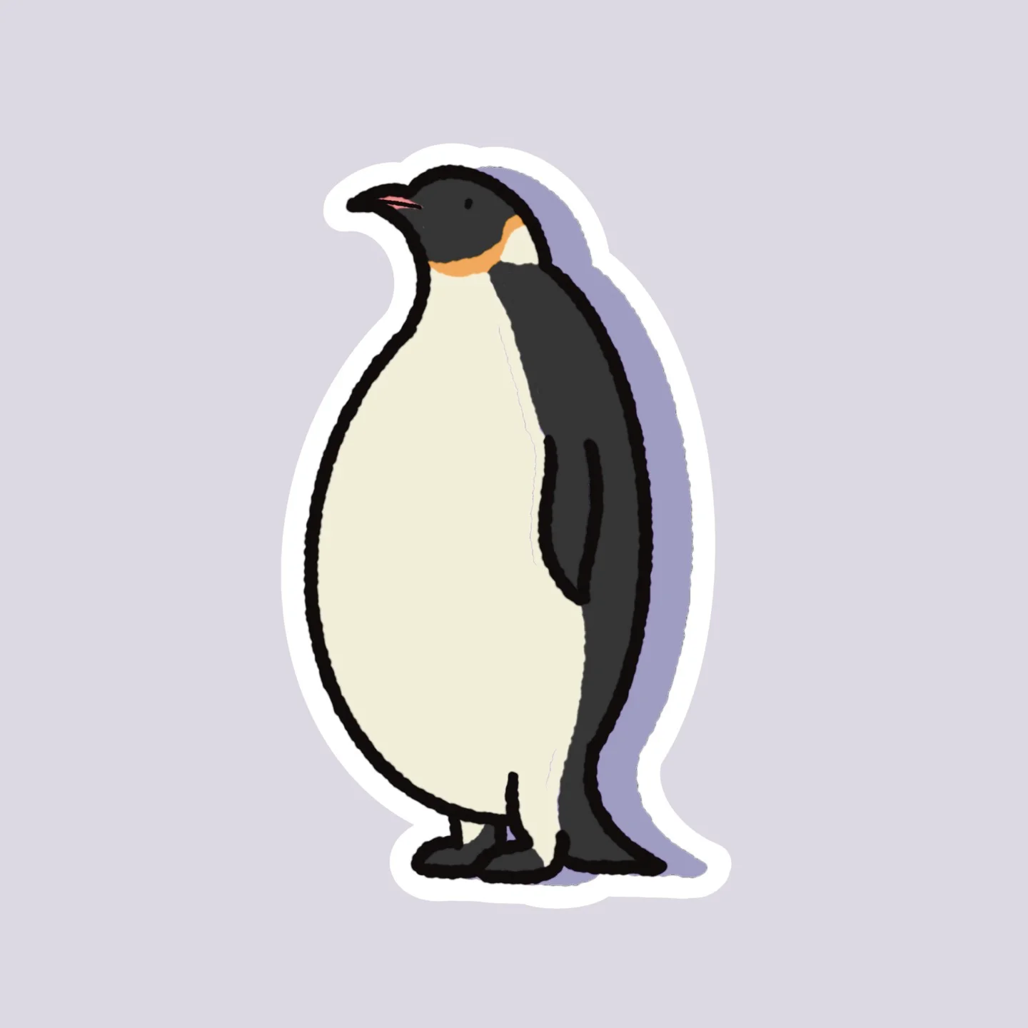 이미지 11