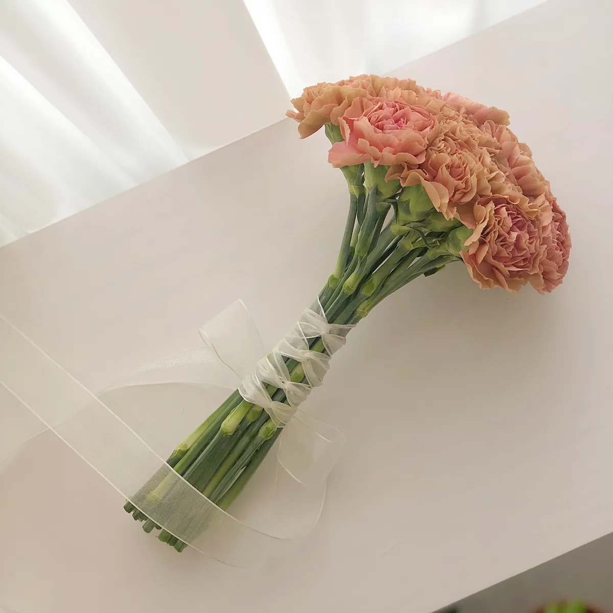 이미지 3