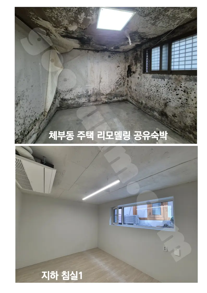 이미지 28
