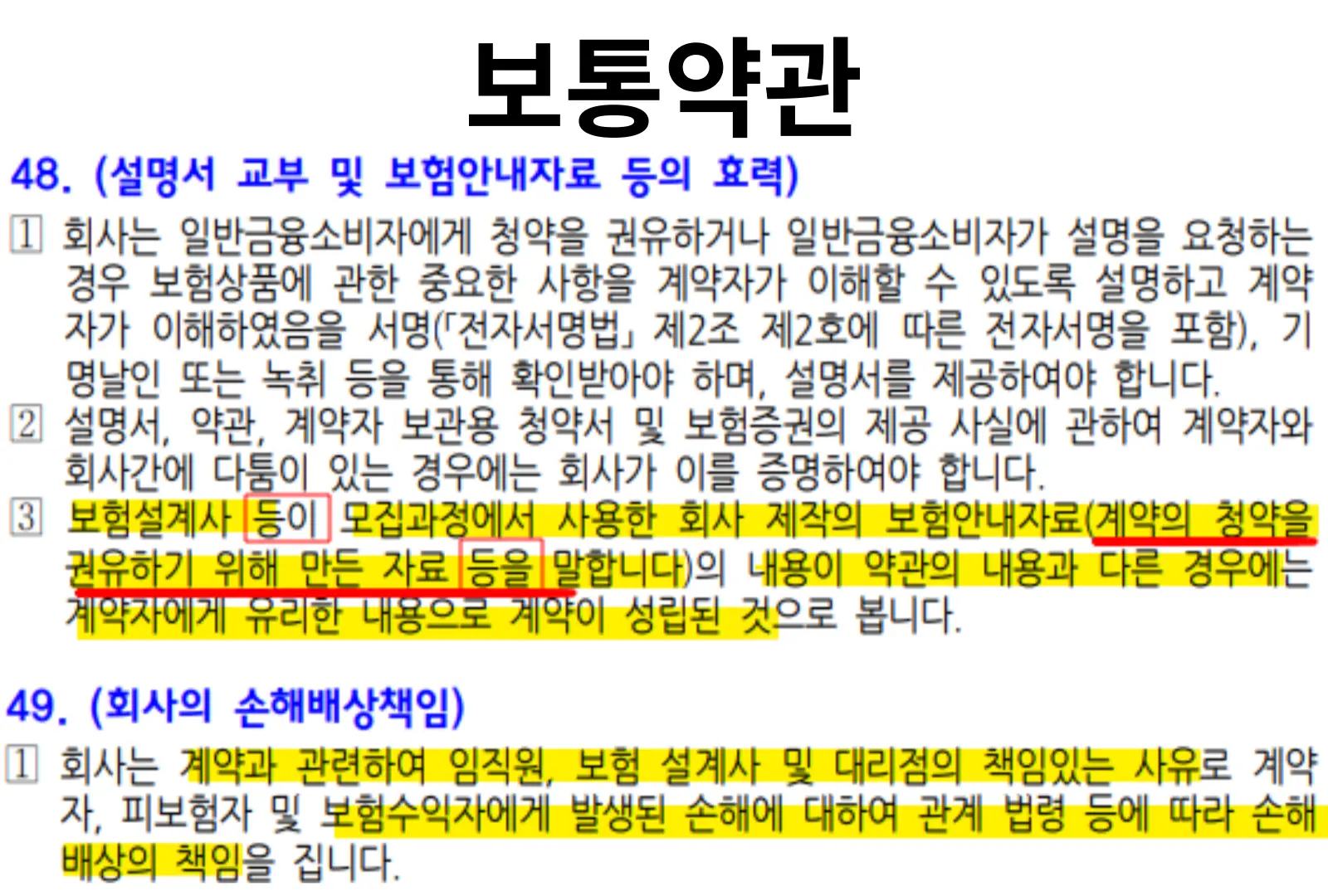 이미지 5