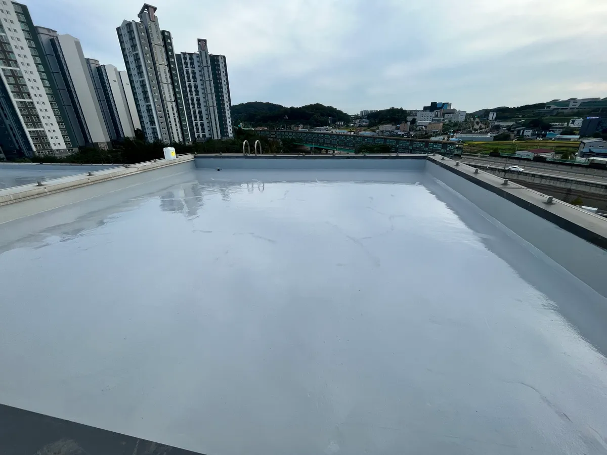 이미지 11