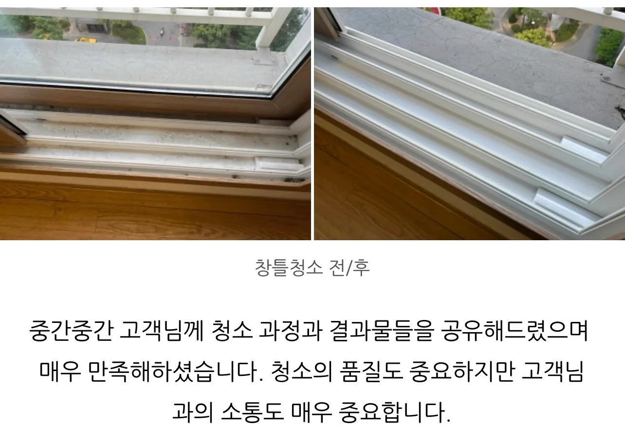 이미지 11